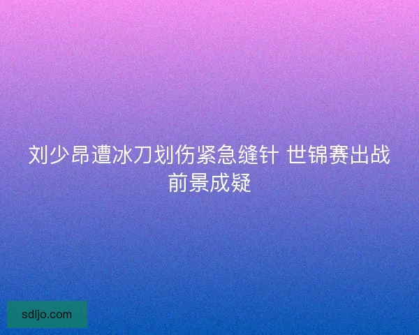 刘少昂遭冰刀划伤紧急缝针 世锦赛出战前景成疑